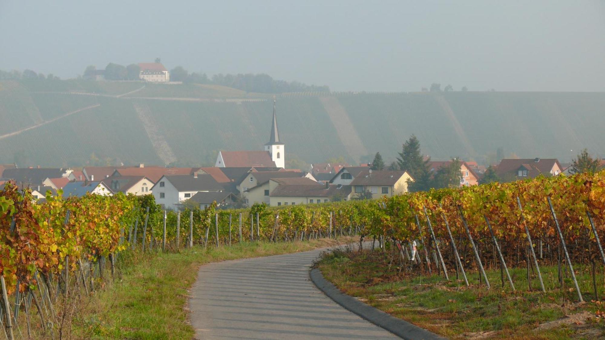 Weingut Herbert Kram Nordheim am Main Esterno foto