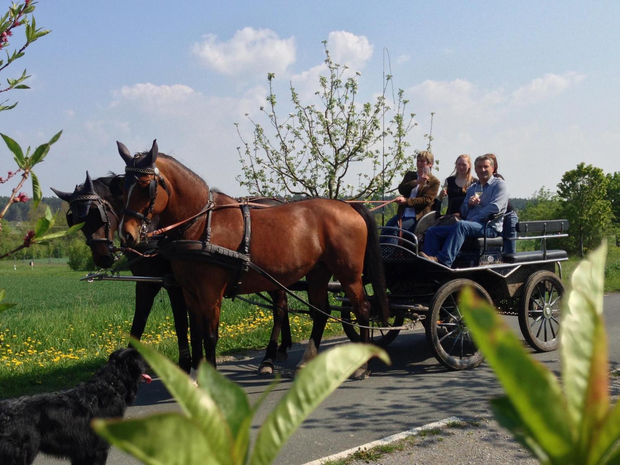 Weingut Herbert Kram Nordheim am Main Esterno foto