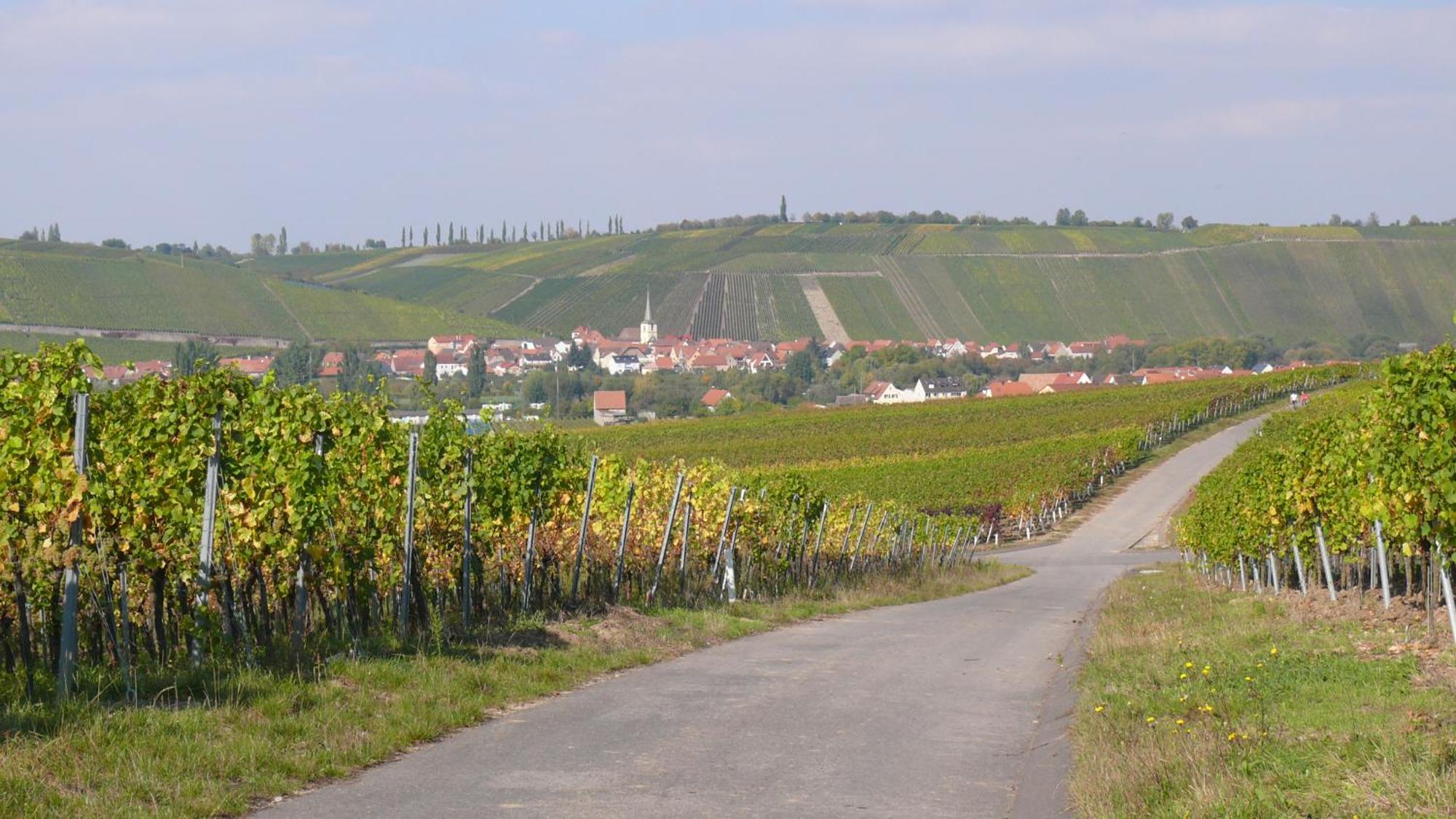 Weingut Herbert Kram Nordheim am Main Esterno foto