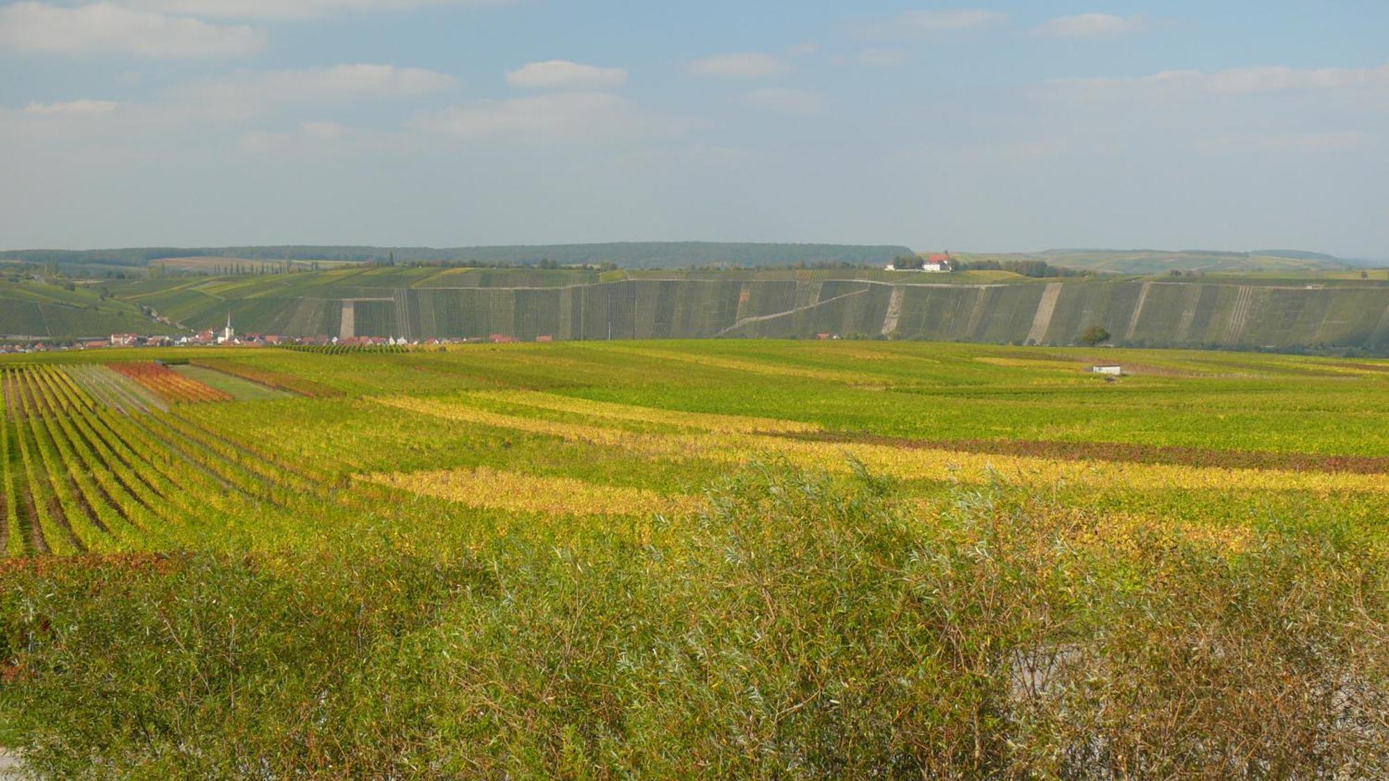 Weingut Herbert Kram Nordheim am Main Esterno foto
